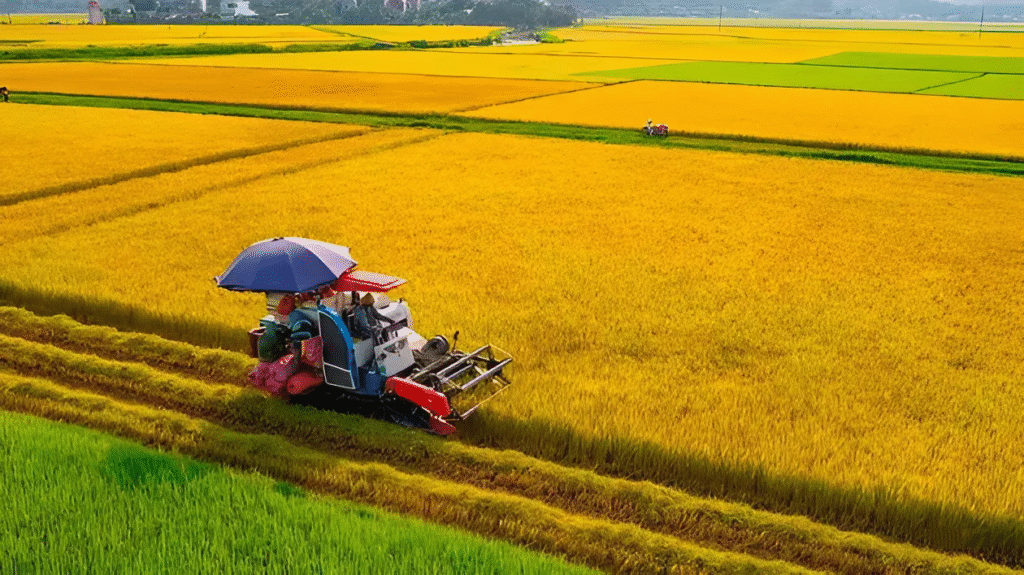 Ngành nông nghiệp khởi sắc trong 4 tháng đầu năm 2025 1 ruong