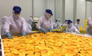 Phương thức nhờ thu kèm chứng từ (documentary collection) 21 trai cay che bien 6665 1591605602 1200x0 1