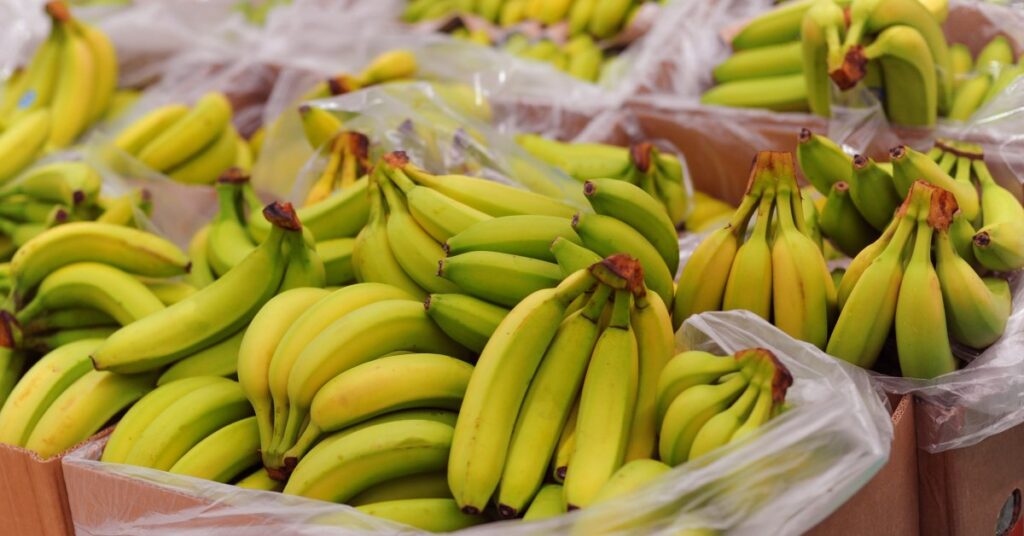 chuoi xuat khau tang gia hinh anh