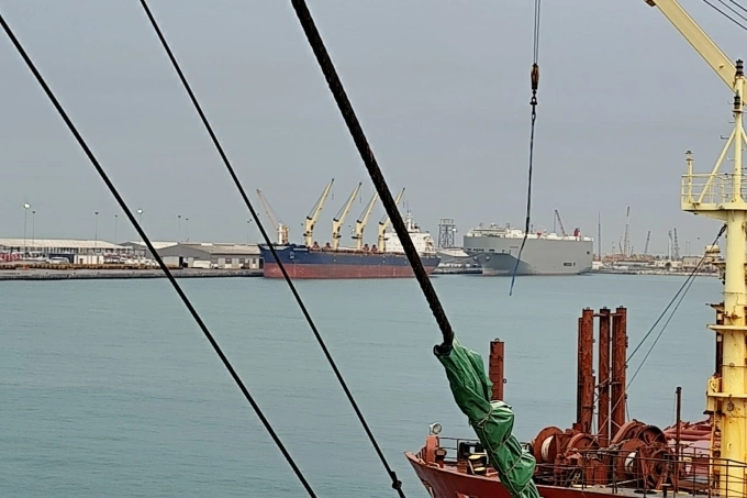 cang 1772611314 7883 1772611460